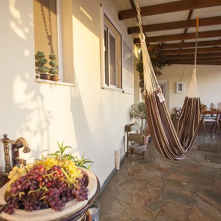 Arch Σπίτι διακοπών Φάνες