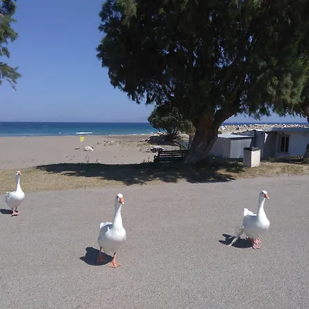 Arch Σπίτι διακοπών Φάνες