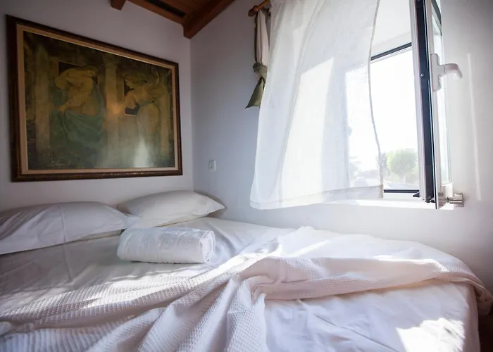 Arch Nyaraló Fánesz