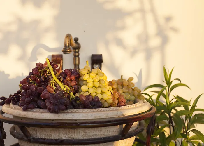 Arch בית נופש