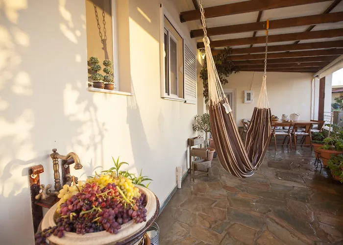 Arch Nyaraló Fánesz