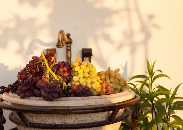 Arch בית נופש *