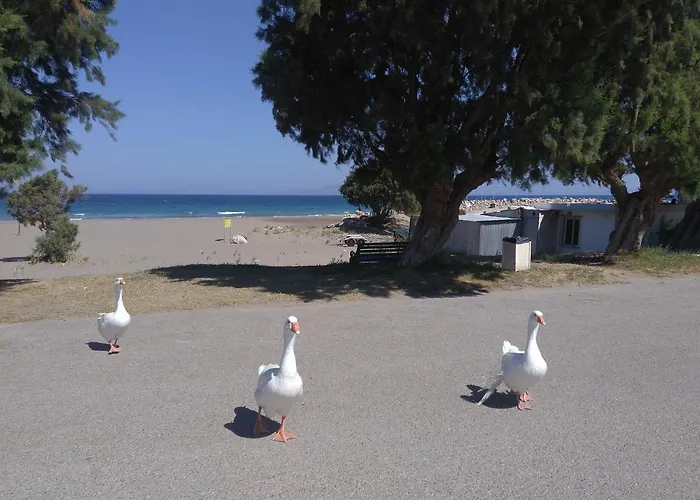 Arch Semesterbostad *